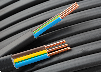 Comprehensive & Professional